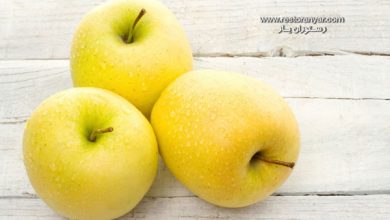 خرید عمده سیب درختی با کیفیت تضمینی