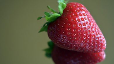 فروش عمده توت فرنگی با ارزان ترین قیمت در بازار ایران