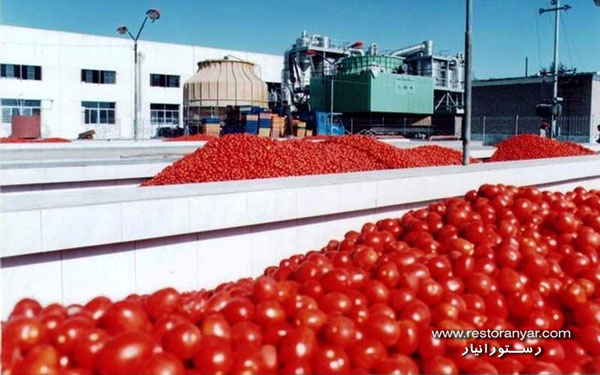 خرید رب گوجه فرنگی از کارخانه