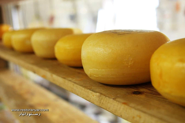 نمایندگی عمده عمده پنیر گودا ورقه ای در رستورانیار